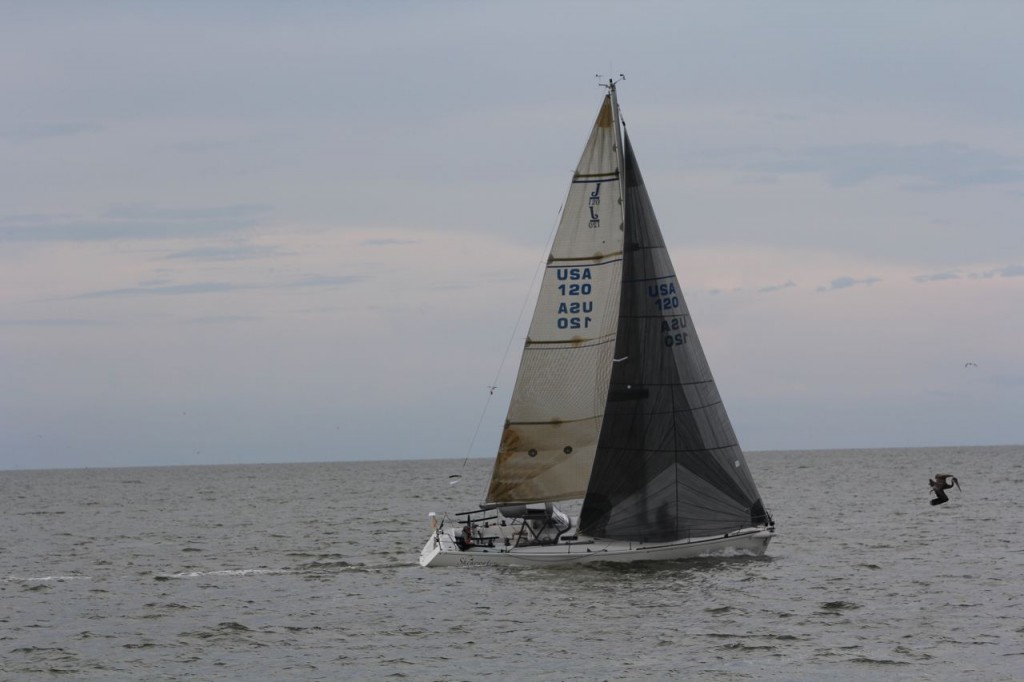 I'm liking the racing sails.  Check out that pelican.